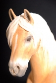koń.drew.3.1