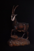 kozica.drew.6.1