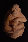 małpka. drew.7.1